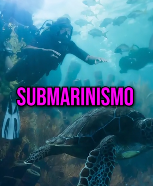 <p>TRABAJOS CONFIRMADOS</p>